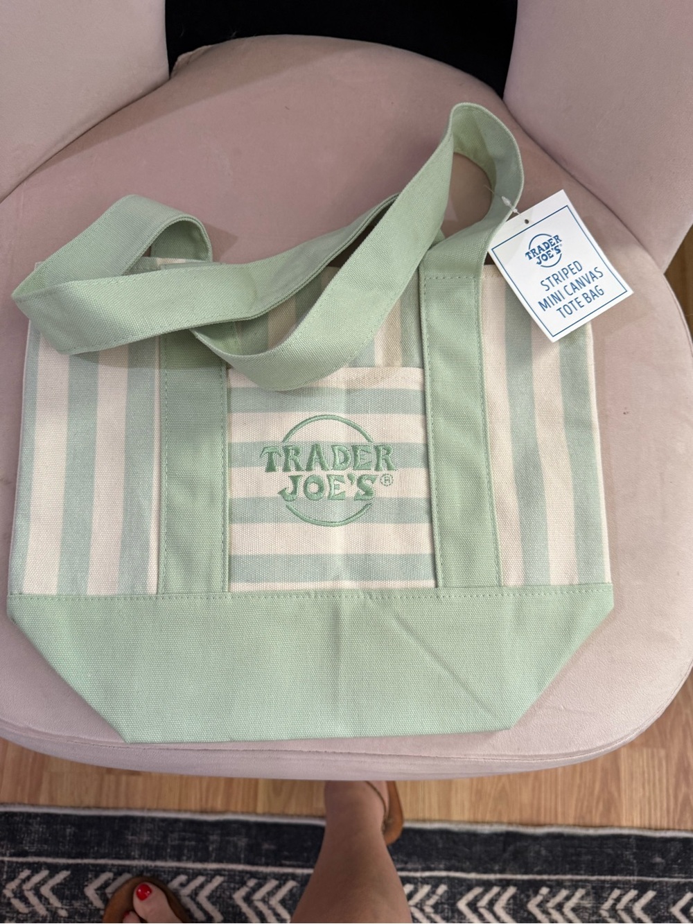 Trader Joe’s Mint Striped Mini Canvas Tote Bag